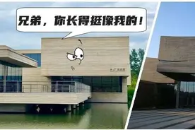 设计"撞车"是美的偶然，还是抄袭or借鉴？图片