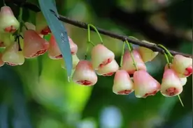 二十八岁小伙儿爱上六十五岁大妈，这样的爱情你会祝福吗？图片