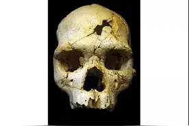 人类对死亡的独特理解，是从什么时候开始的？图片