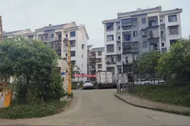 高坪故事：青莲寺的连理枝与并蒂莲图片