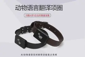 我，兽语十级，任何动物沟通不在话下图片