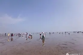 天津赶海、遛娃新去处—东疆港亲海公园，免费，好玩，收获满满图片
