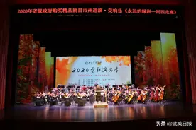 昨晚，一场直达心灵的交响乐表演在武威精彩上演图片