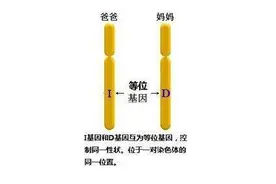 回交、近亲结婚，因家族乱伦制造一堆鞋拔子脸，也葬送了整个王朝图片