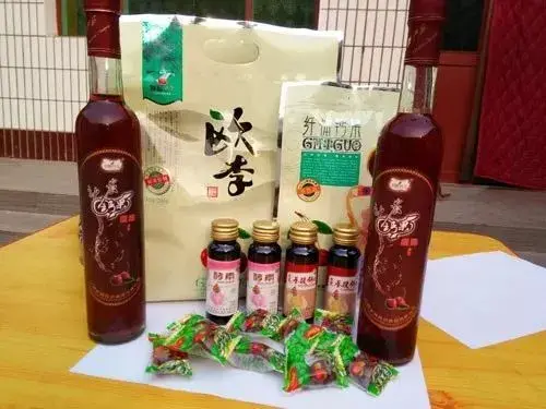 王志海：华丽转身的野欧李