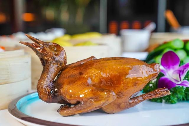 花胶与牛展能同炖吗 2026年花胶可以和牛骨一起煲汤吗