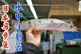 日本厨师分割尖嘴马步鱼，快刀去骨切块下锅油煎！