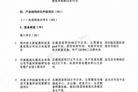 新能源、新材料项目扎堆！恒大、宇通今年都将竣工动力电池项目图片