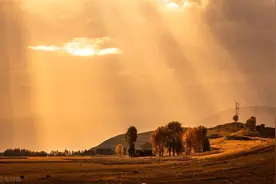 但能苍鬓留清节，那有青衫不白头(七言律诗精选)图片
