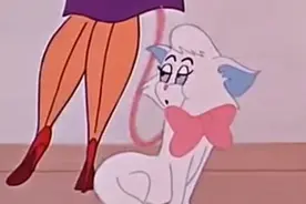 汤姆追到了一只母猫，两人还手挽手在一起，这只母猫你见过吗？图片