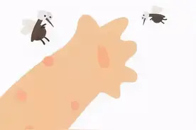 天气炎热，家长们请注意，赶快看看你家宝宝身上有出现这些“红色小包”吗？图片