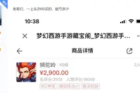 梦幻西游手游：豪气玩家花费2900元购角色，只为一只炎融牛坐骑图片