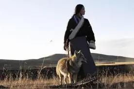 美女画家把“狼”当孩子养，放回狼群10年后，再相见让人泪目图片