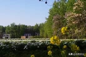 在农村，有多少家庭存款15万，能拿出15万的算是有钱人吗？图片