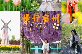 我和宿州有个约会，一场花事，一次慢旅行，探寻最烟火的宿州味道图片