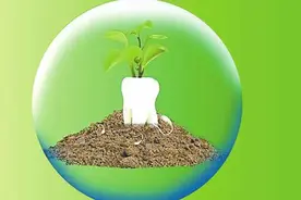 牙齿脱落怎么办？还能再种出来！图片