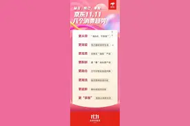 从容、悦己、享服…京东11.11的八个消费趋势图片