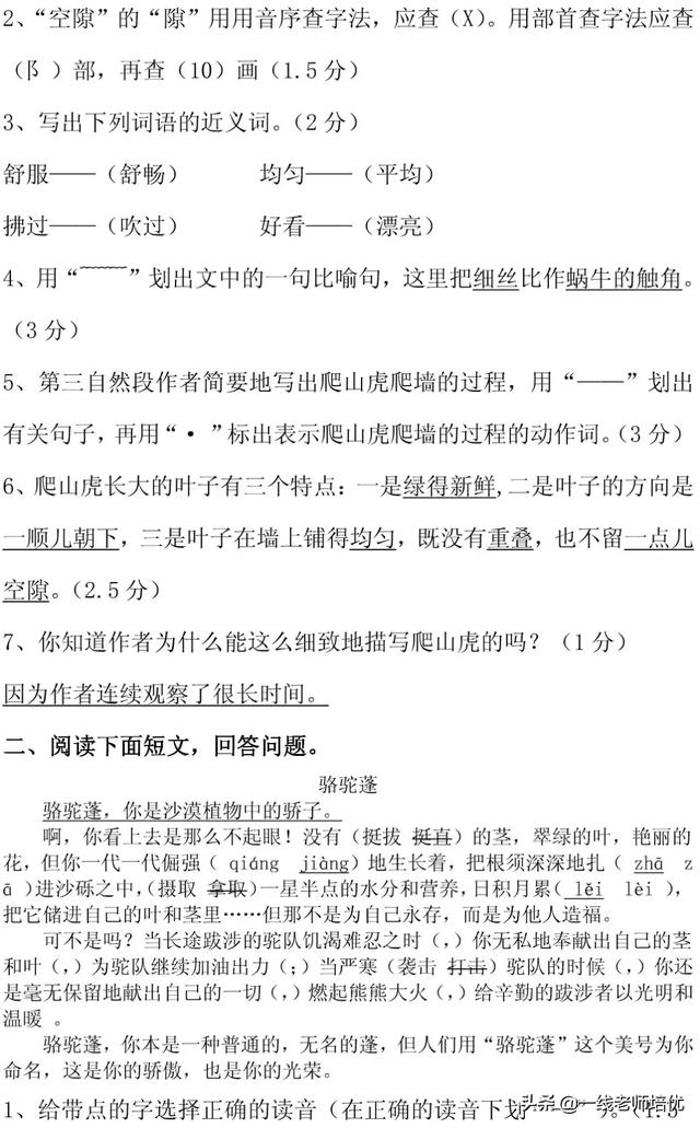 知识点+同步练习题 部编版四年级语文上册 10 爬山虎的脚