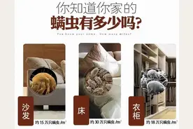珀婷PERTINE深度除螨喷雾剂，喷一喷就能轻松除螨图片