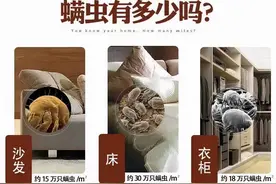 珀婷PERTINE深度除螨喷雾剂，喷一喷就能轻松除螨图片