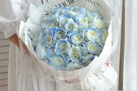 蓝玫瑰花语，蓝玫瑰象征意义，蓝玫瑰代表什么？图片