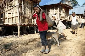 中国人到老挝，参观老挝最穷乡下人民的生活条件，有中国好吗？图片