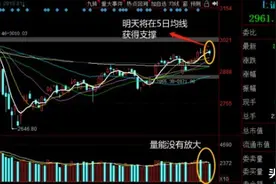 券商带头砸盘，为哪般？而北向资金趁机大幅买入这一类股图片