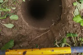 狗狗掉入30米深坑后续：已被打捞出，主人回应未栓绳质疑图片