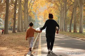 郑州一条梧桐大道火了，惊艳了整个秋天，女孩蜂拥来拍照图片