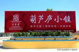 一个葫芦卖几万，创意文化小镇靠葫芦打造“最美乡村”图片