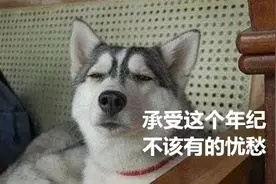 被动宅家，主动生活！这波“花式宅家”，我给满分图片
