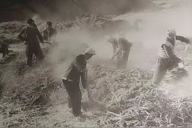 留守在陕北的北京知青历经坎坷，他现在的田园生活令人羡慕图片