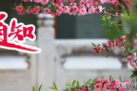 非急诊全面预约 | 北京协和医院患者告知书图片