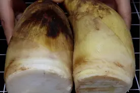 大厨教你这样保存竹笋，2个保存妙招，可以吃一年不坏，真实用图片