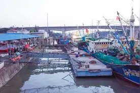 新鲜！实惠！买海鲜太仓渔港路走起！图片