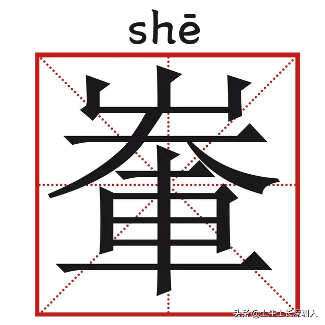 当深圳地名遇到生僻字