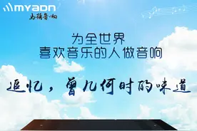 揭穿国产音响的本质图片