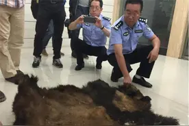 自家羊被咬死后，男子猎杀大熊猫，得70斤肉卖了4800元，被判13年图片