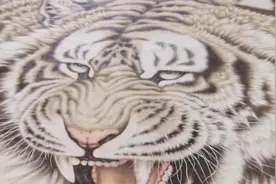 虎名远扬！半个村都是农民画家，月入百万！河南这个地方了解一下视频封面