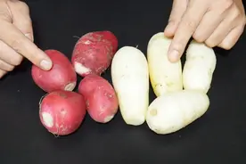 红皮萝卜和白萝卜有什么区别？谁的营养价值更高？快告诉家里人视频封面