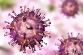 养猪周报：非洲猪瘟的认知及防控图片