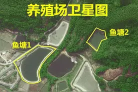 依山傍水养殖基地转让图片