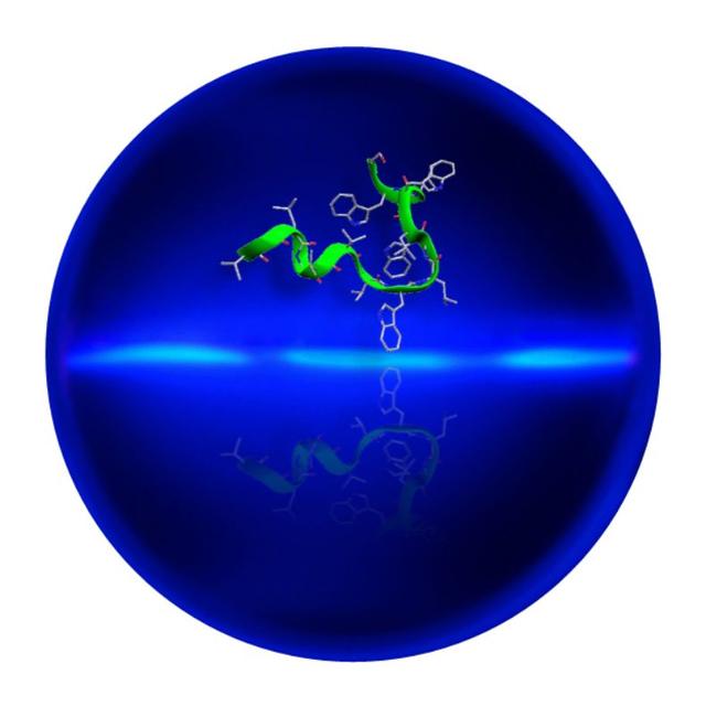 首获实证！生物大分子存在量子效应，薛定谔细菌或可预期
