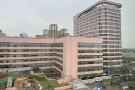 人勤春早奋蹄疾 牛气冲天开新局| 华西第二医院锦江院区二期工程 牛年开工“犇”起来图片