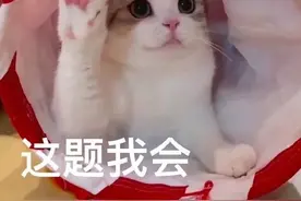 大学加入学生会，值不值？图片