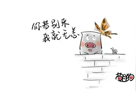 苟且狗| 你若别来，我就无恙！图片