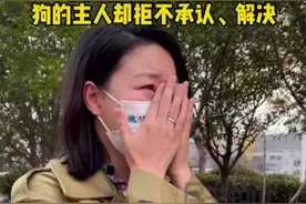 恶狗伤人两个月狗主人仍拒不道歉，公职身份不能成护身符图片