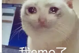 当代年轻人的朋友圈：emo向左，发疯文学向右，废话梗靠后图片