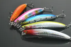 路亚新手必备的5种假饵，一次性全了解图片