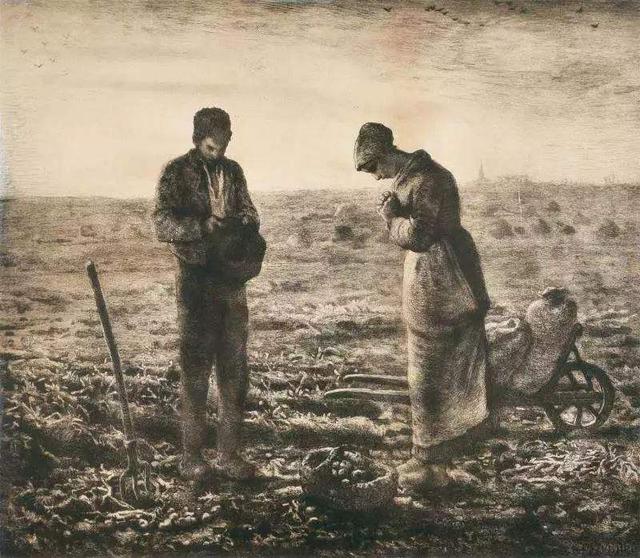 土豆——世界上最成功的植物之一，没有它可能就没有人类文明